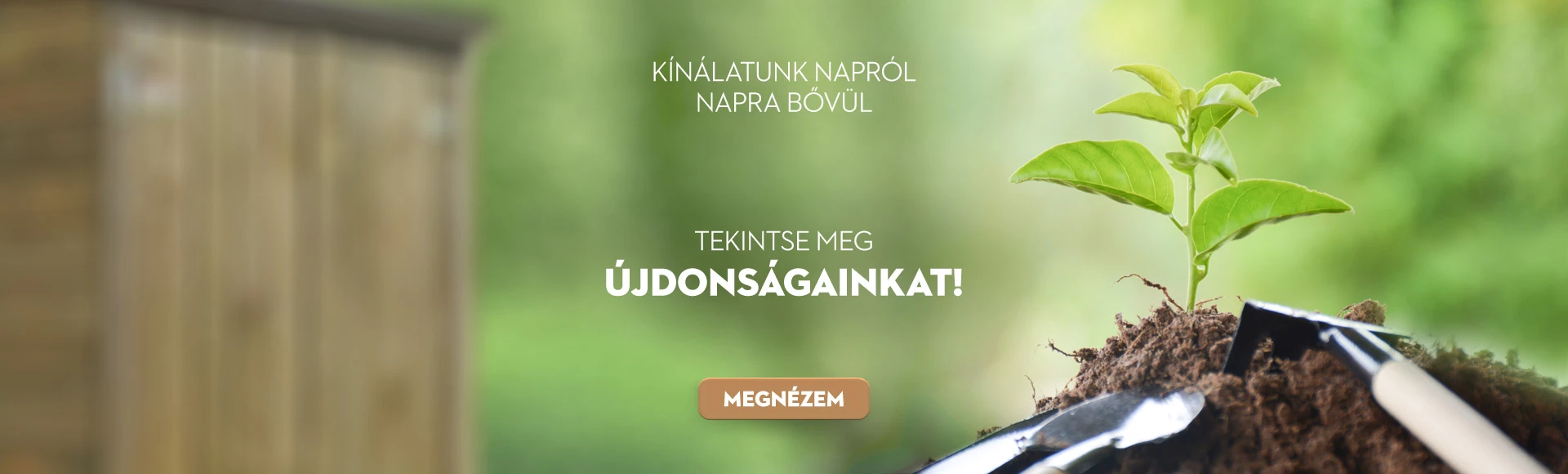 Újdonságaink