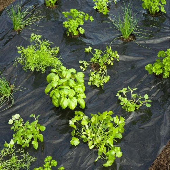 Takarófólia fűszernövényekez 0,95*5m fekete