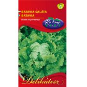 Rédei vetőmag - Batávia saláta 2g