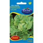 Rédei vetőmag - Humil fejessaláta 2,5g