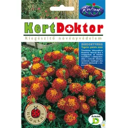 Rédei kertdoktor vetőmag - Törpe bársonyvirág 10 g – VasMuszakiBolt.hu