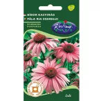 Rédei vetőmag - Bíbor kasvirág 0,5g, A Rédei Kertimag bíbor kasvirág (Echinacea purpurea) 0 – VasMuszakiBolt.hu