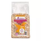 Vivaldi Energia madármüzli (500g)