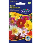 Rédei vetőmag - Dália mignon színkeverék 1g – VasMuszakiBolt.hu