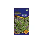 Rédei vetőmag - Bíborka bíborlila 0,25g, Rédei bíborka bíborlila vetőmag (0 – VasMuszakiBolt.hu