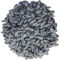 Fekete napraforgó madáreleség 1kg