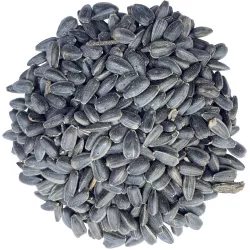 Fekete napraforgó madáreleség 1kg