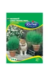Rédei vetőmag - Macskafű 50g