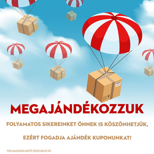 ingyenes szállítás